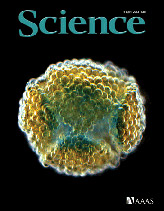 ����ѧ����־