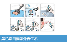 ��ɫ��ϸ����������������